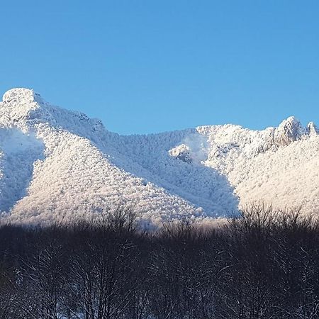 St. Hubert Hunting Lodge 오굴린 외부 사진