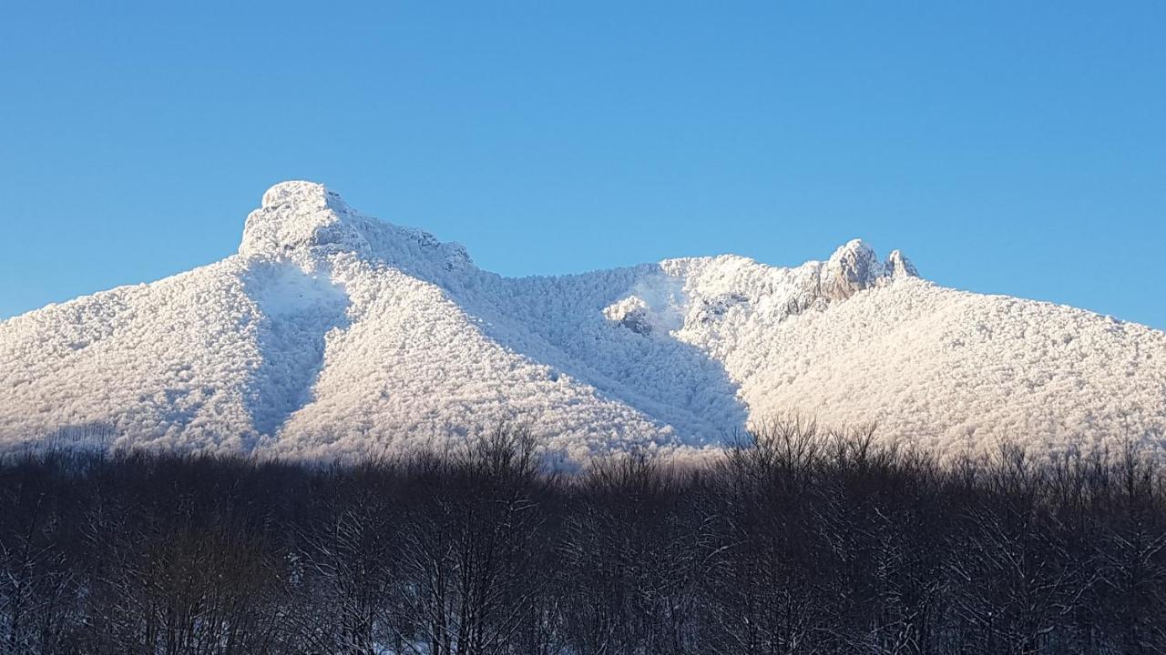 St. Hubert Hunting Lodge 오굴린 외부 사진